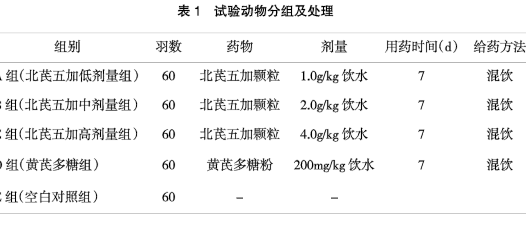 北芪五加颗粒对雏鸡新城疫疫苗免疫应答及生长发育影响
