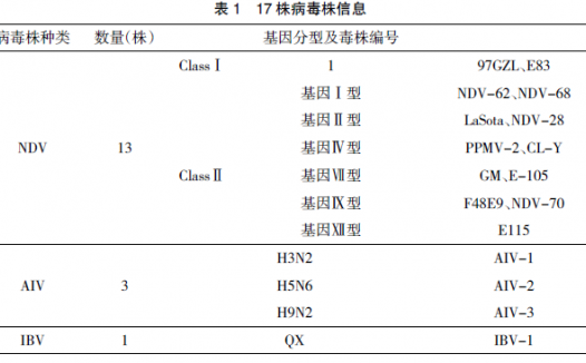 检测新城疫病毒荧光定量PCR引物的综合评估