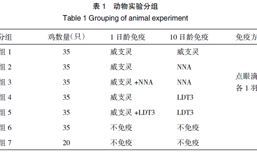 鸡传染性支气管炎弱毒疫苗 NNA 对黄鸡的免疫保护效力评估
