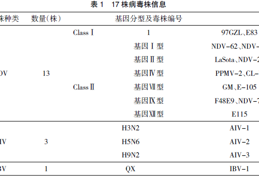 检测新城疫病毒荧光定量PCR引物的综合评估