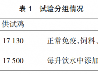中药口服液对肉鸡生产性能及H9 油苗免疫效果影响