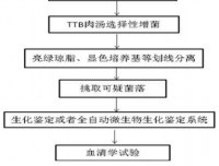 羽绒羽毛沙门氏菌检测能力验证的结果与分析