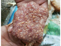 多例笼养蛋鸡楔形前殖吸虫病的诊治体会