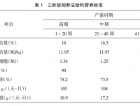 产蛋鸡的饲养管理要点
