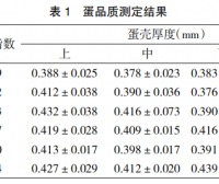 白羽番鸭次蛋蛋品质研究