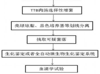 羽绒羽毛沙门氏菌检测能力验证的结果与分析