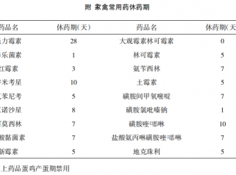 正确看待养殖业中抗生素的使用