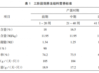 产蛋鸡的饲养管理要点
