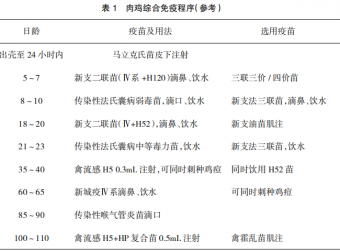 湘黄鸡疾病防治
