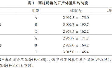 番鸭产蛋期不同光照强度对产蛋性能的影响
