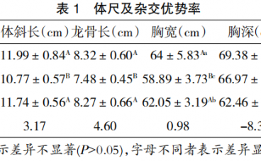 欧洲肉鸽Ⅱ系和白卡奴鸽杂交 F1 代性能观测及其杂交优势分析