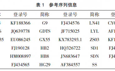 江西地区 H9亚型禽流感 病毒 WS-JX 株的分离鉴定