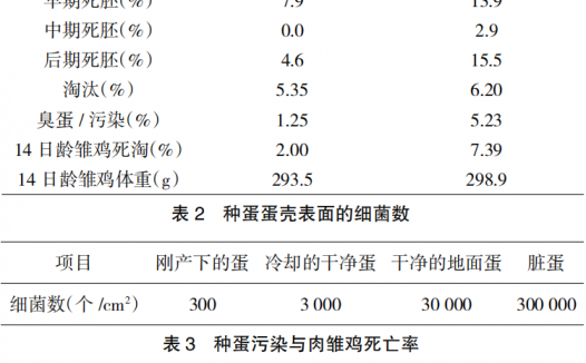现代肉种鸡生产中蛋壳质量的管理要点