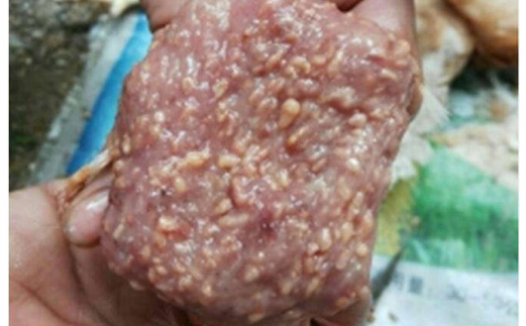 多例笼养蛋鸡楔形前殖吸虫病的诊治体会