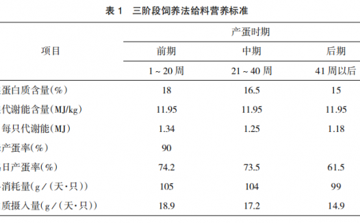产蛋鸡的饲养管理要点