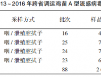 2013~2016年江门地区跨省调运鸡苗禽流感监测结果分析