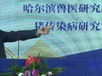 听课笔记 | 仇华吉:规模化猪场复养技术要点