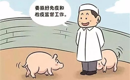 专家解读｜吴珍芳：养猪业未来发展趋势与企业应对