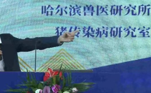 听课笔记 | 仇华吉：规模化猪场复养技术要点