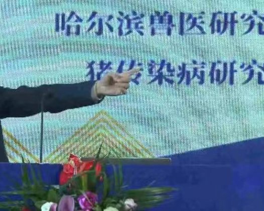 听课笔记 | 仇华吉:规模化猪场复养技术要点