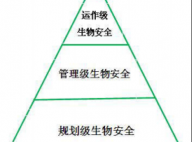 规模化肉鸽场生物安全体系的构建