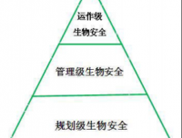规模化肉鸽场生物安全体系的构建